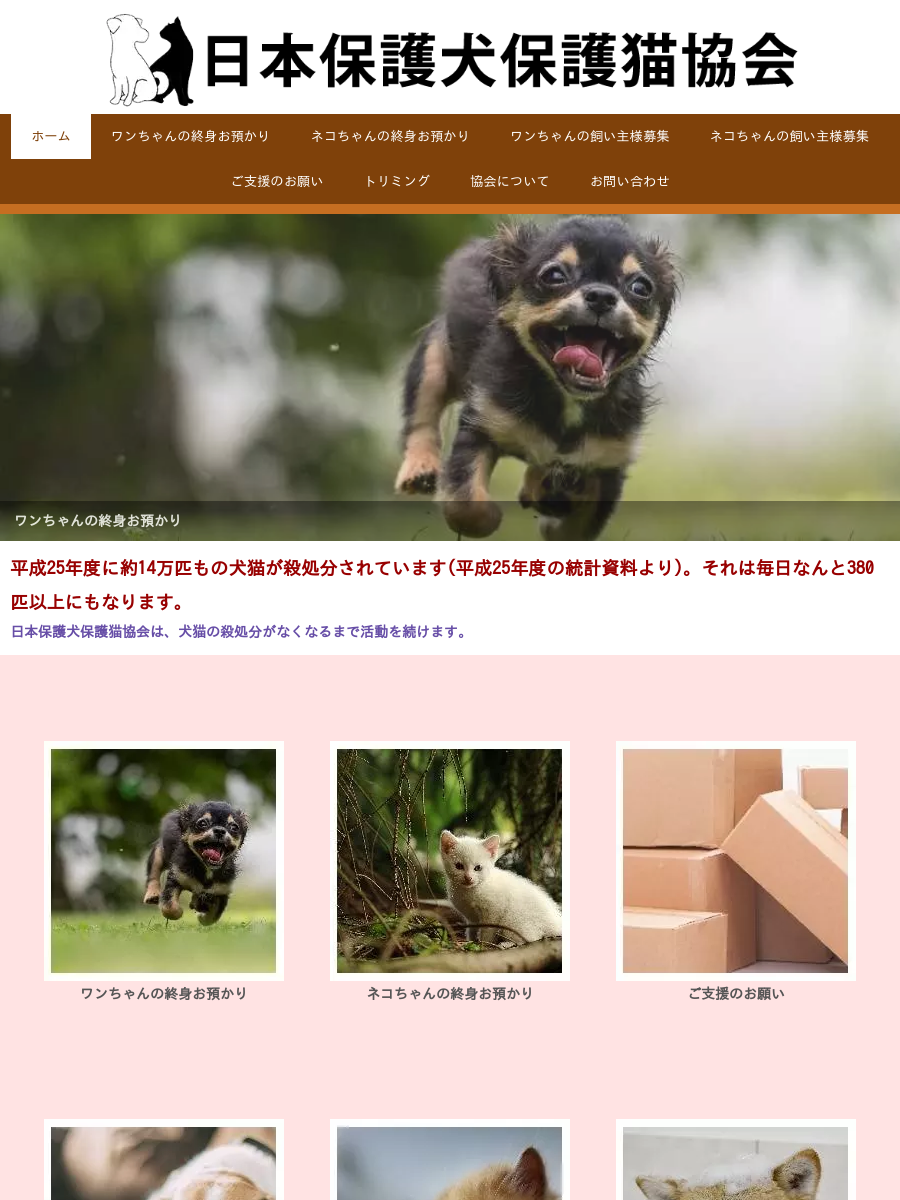 ワンちゃんの終身お預かりシステムについて | 日本保護犬保護猫協会